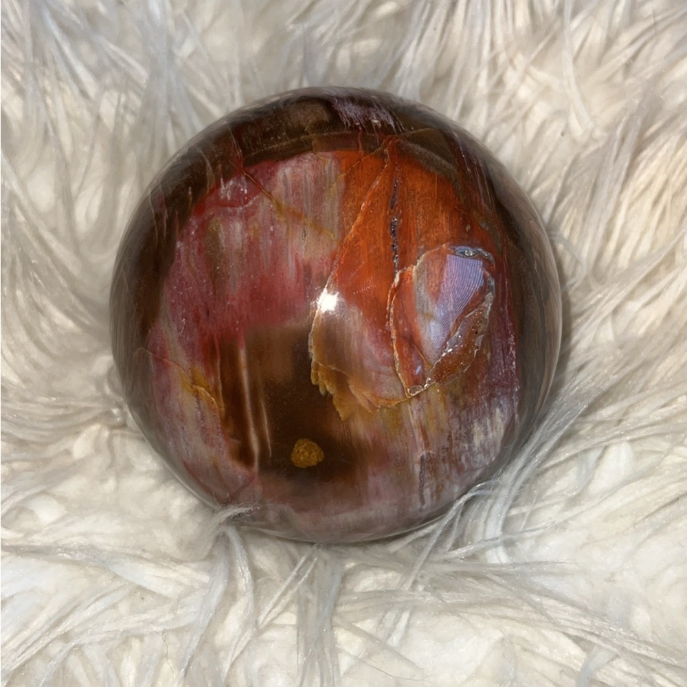 XL 99mm Petrified Wood Sphere
